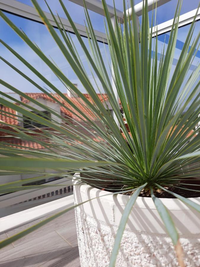 Sitius 5B - New Seaview Apartment With Rooftop Terrace In Historical Centre Sitio Da Nazaré Buitenkant foto
